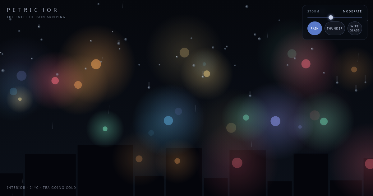 PETRICHOR — rain on a night window